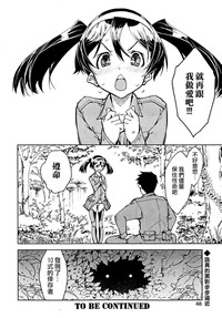 第41頁圖
