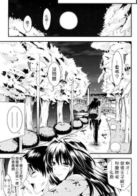 第125頁圖