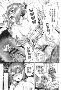 第33頁圖