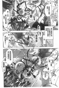 第41頁圖