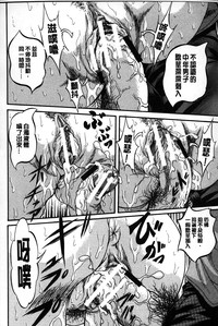 第81頁圖