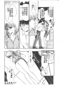 第29頁圖