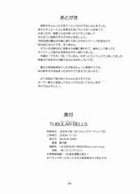 第33頁圖