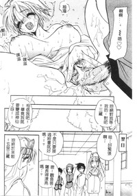 第133頁圖