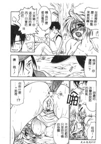 第13頁圖