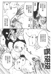 第141頁圖