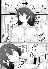 第17页图