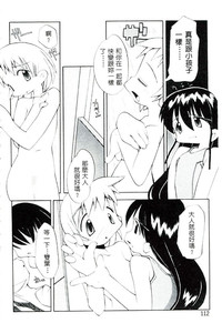 第113頁圖