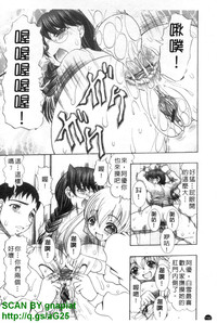 第117頁圖