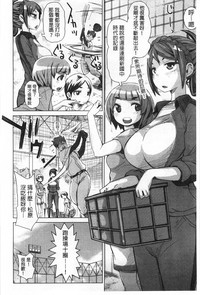 第29頁圖