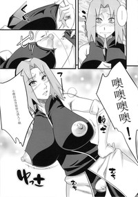 第17页图