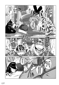 第137頁圖