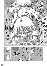 第25頁圖