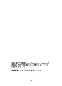 第33頁圖