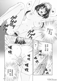 第33頁圖