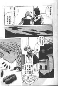 第141頁圖