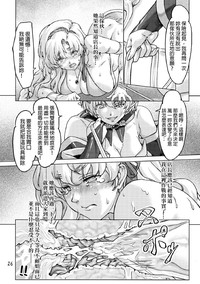 第25頁圖
