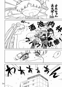 第33页图