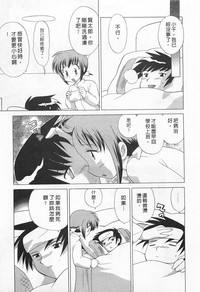第29頁圖