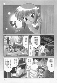 第85頁圖