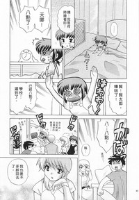 第45頁圖