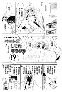 第121頁圖
