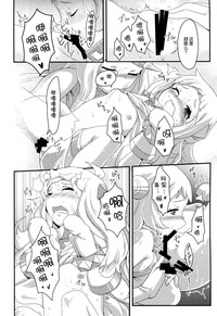 第17页图