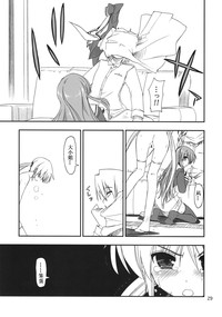 第29頁圖