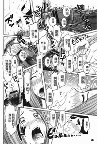 第133頁圖