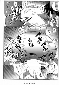 第13頁圖