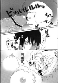第33頁圖