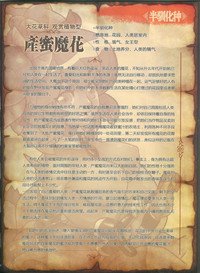 第33頁圖