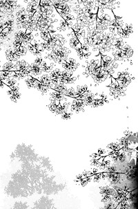 第29页图