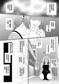 第17页图