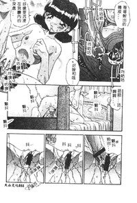 第33頁圖