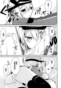 第17页图