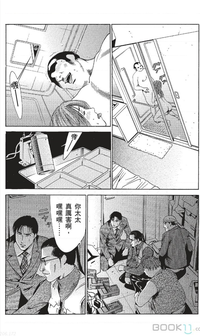 第333页图