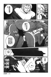 第245页图
