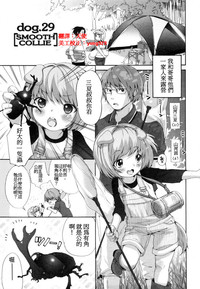 第225页图
