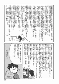 第29頁圖