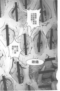第133頁圖