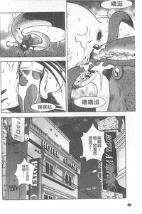 第181頁圖