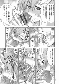 第17页图