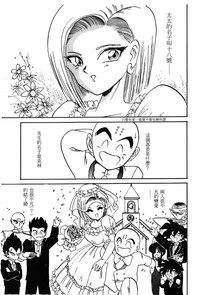 第145頁圖