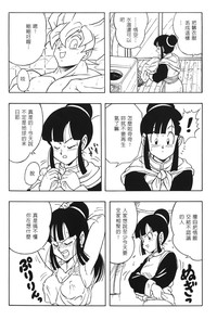 第101頁圖