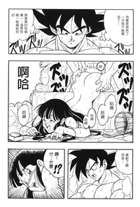 第109頁圖