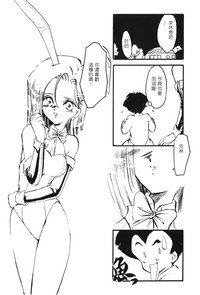 第141頁圖