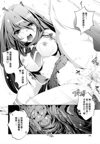 第29頁圖