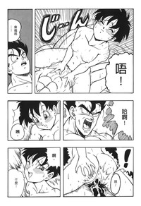 第105頁圖