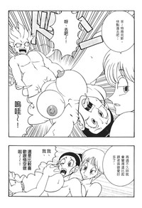 第13頁圖